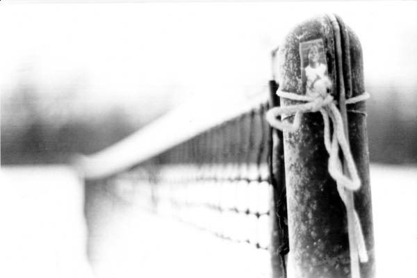 Credit: catorart from Flickr