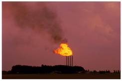 Burnout_Credit_John_Foxx