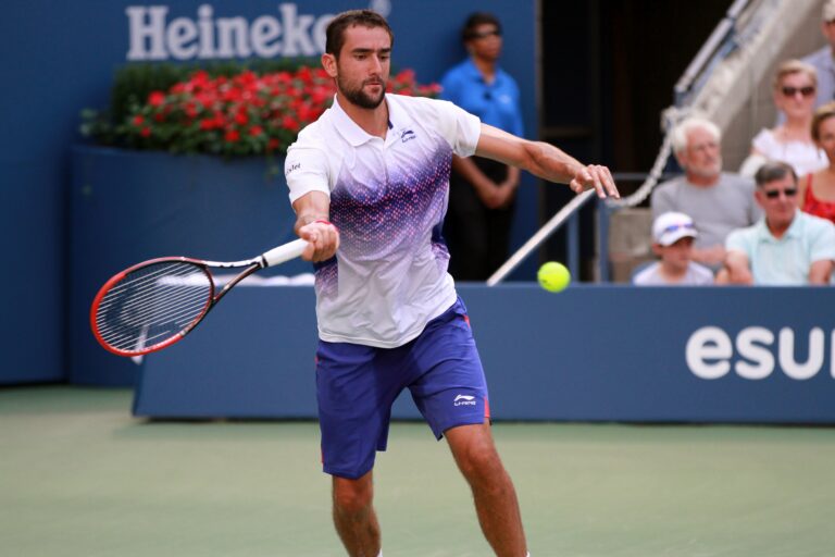 Cilic (5)