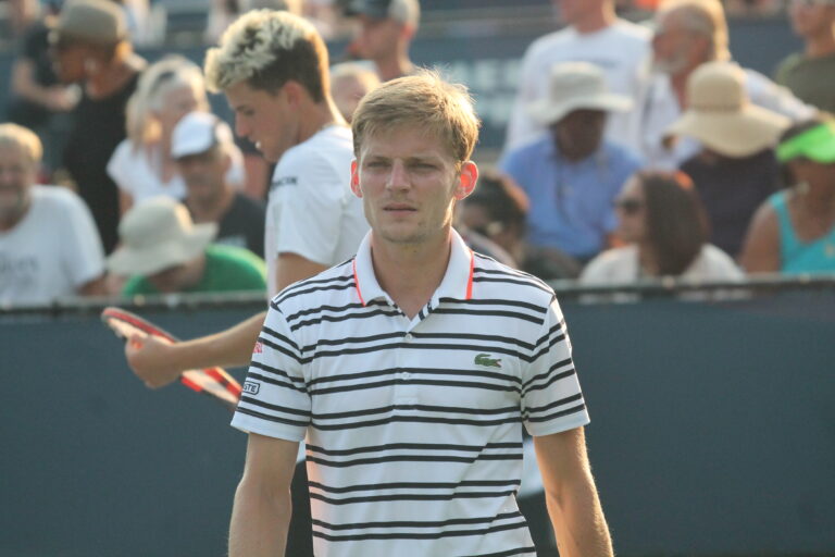 David Goffin (4)