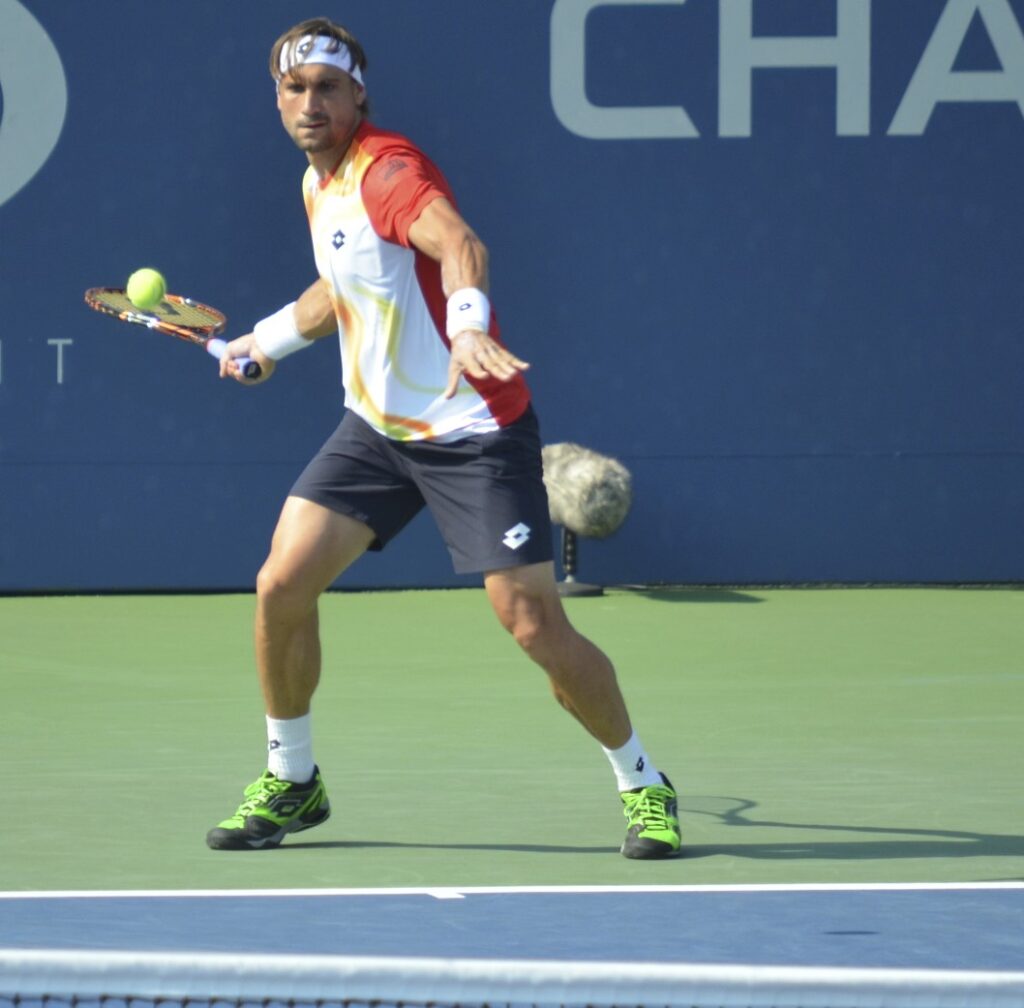 David_Ferrer (4)