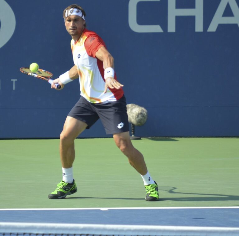 David_Ferrer (4)