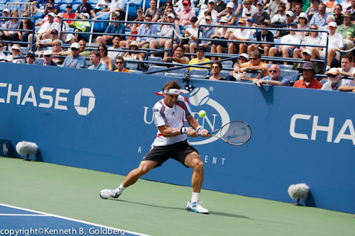 David_Ferrer_02