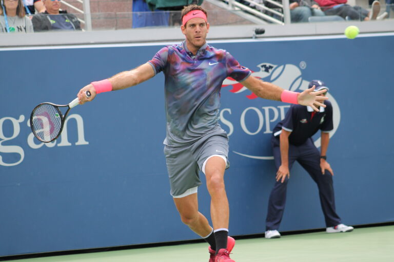 Juan Martin del Potro (27)