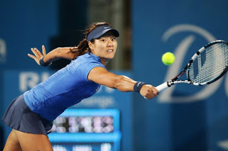 Li_Na_Pic_2