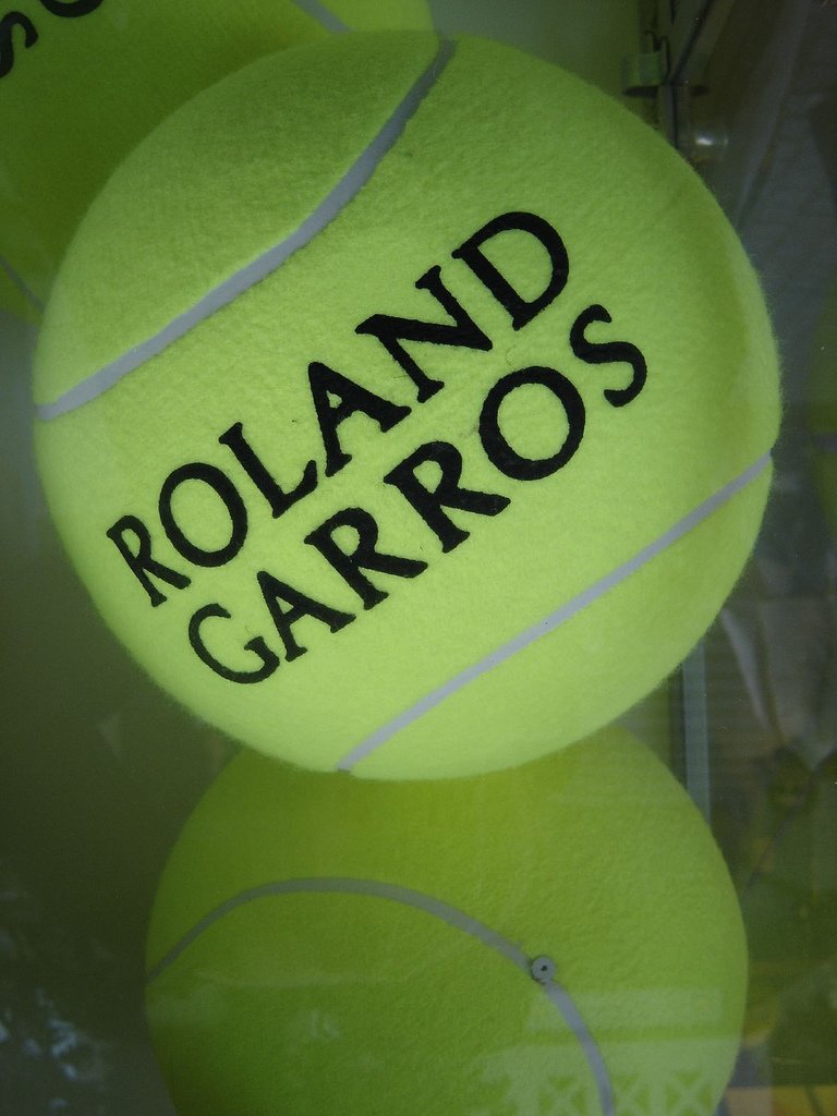 Roland_Garros_Ball_Pic_1