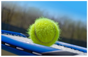 Tennis_Ball_Sunlight