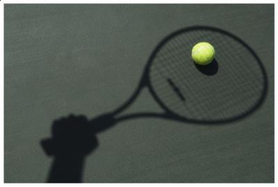 Tennis_Racquet_Shadow_Large_Pic_0_17