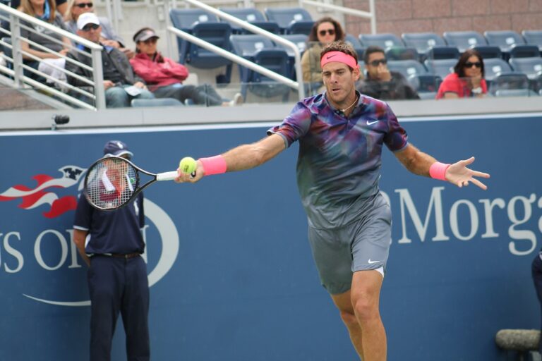 Juan Martin del Potro (11)