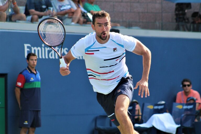 Cilic 2019