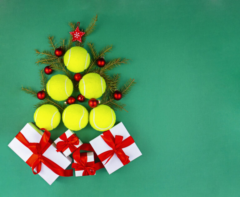 2025 Holiday Gift Ideas